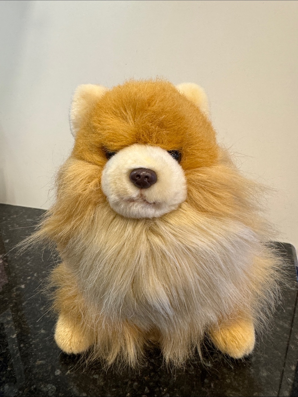 Gund Boo Buddy the Worlds Cutest Dog Pomeranian Plush Stuffed Animal Toy 12”